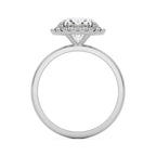 Majestic Ring
