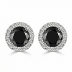 Noiré Earrings